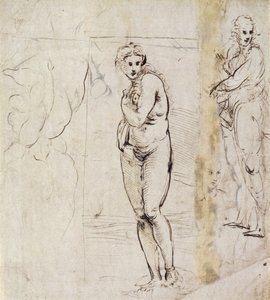 Studio di Venere da Raffaello Sanzio Raphael
